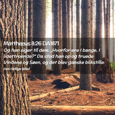 Picture 02 - Matthæus 8:26 DA1871 - Og han siger til dem: „Hvorfor ere I bange, I - Bible Verse Picture