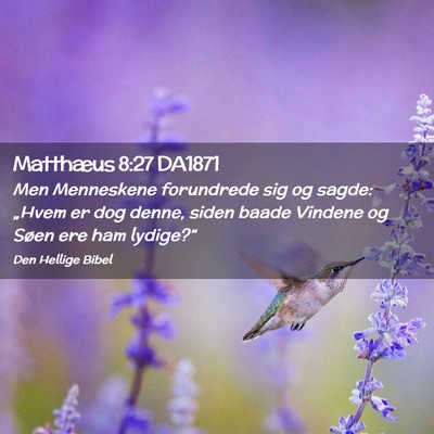 Picture 02 - Matthæus 8:27 DA1871 - Men Menneskene forundrede sig og sagde: „Hvem - Bible Verse Picture