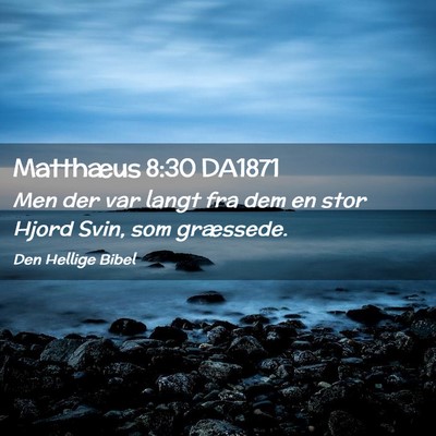 Picture 02 - Matthæus 8:30 DA1871 - Men der var langt fra dem en stor Hjord Svin, som - Bible Verse Picture