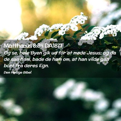 Picture 02 - Matthæus 8:34 DA1871 - Og se, hele Byen gik ud for at møde Jesus; og da - Bible Verse Picture