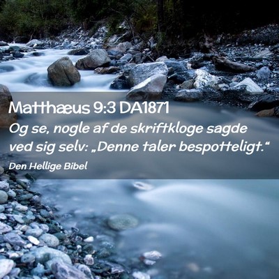 Picture 02 - Matthæus 9:3 DA1871 - Og se, nogle af de skriftkloge sagde ved sig - Bible Verse Picture
