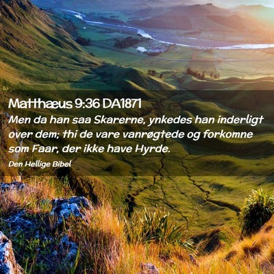 Picture 02 - Matthæus 9:36 DA1871 - Men da han saa Skarerne, ynkedes han inderligt - Bible Verse Picture