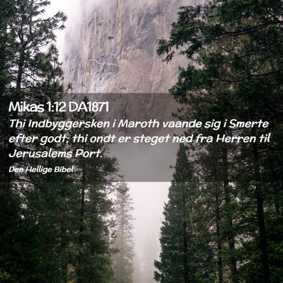 Picture 02 - Mikas 1:12 DA1871 - Thi Indbyggersken i Maroth vaande sig i Smerte - Bible Verse Picture