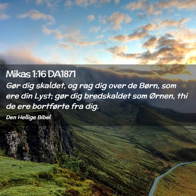 Picture 02 - Mikas 1:16 DA1871 - Gør dig skaldet, og rag dig over de Børn, som - Bible Verse Picture