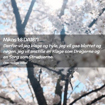 Picture 02 - Mikas 1:8 DA1871 - Derfor vil jeg klage og hyle, jeg vil gaa blottet - Bible Verse Picture