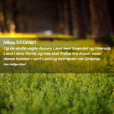 Picture 02 - Mikas 5:5 DA1871 - Og de skulle vogte Assurs Land med Sværdet og - Bible Verse Picture