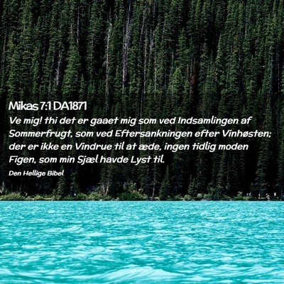 Picture 02 - Mikas 7:1 DA1871 - Ve mig! thi det er gaaet mig som ved Indsamlingen - Bible Verse Picture