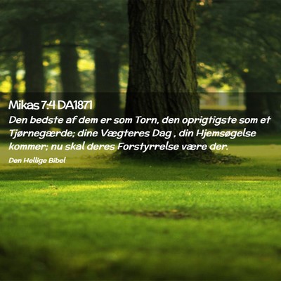 Picture 02 - Mikas 7:4 DA1871 - Den bedste af dem er som Torn, den oprigtigste - Bible Verse Picture