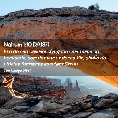 Picture 02 - Nahum 1:10 DA1871 - Ere de end sammenslyngede som Torne og berusede, - Bible Verse Picture