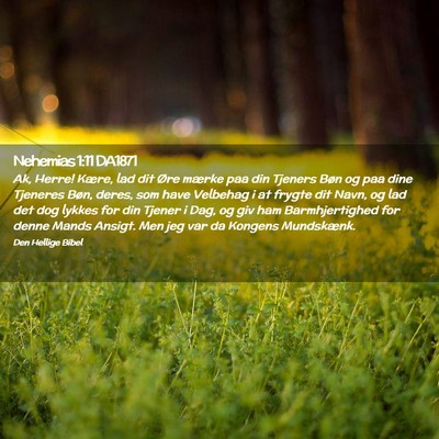 Picture 02 - Nehemias 1:11 DA1871 - Ak, Herre! Kære, lad dit Øre mærke paa din - Bible Verse Picture