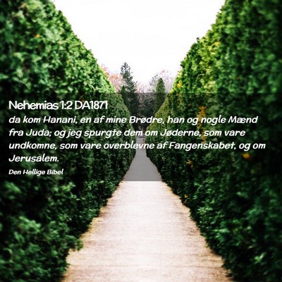 Picture 02 - Nehemias 1:2 DA1871 - da kom Hanani, en af mine Brødre, han og nogle - Bible Verse Picture