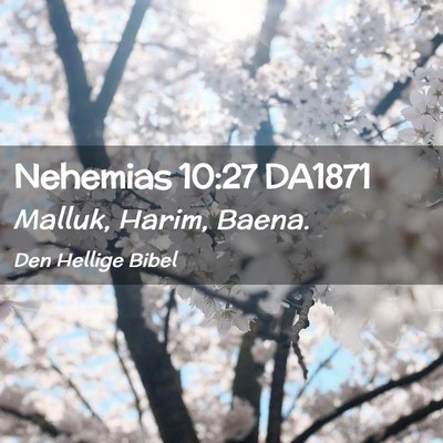 Picture 02 - Nehemias 10:27 DA1871 - Malluk, Harim, - Bible Verse Picture