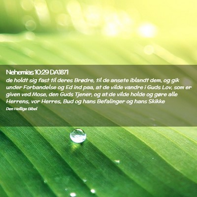 Picture 02 - Nehemias 10:29 DA1871 - de holdt sig fast til deres Brødre, til de - Bible Verse Picture