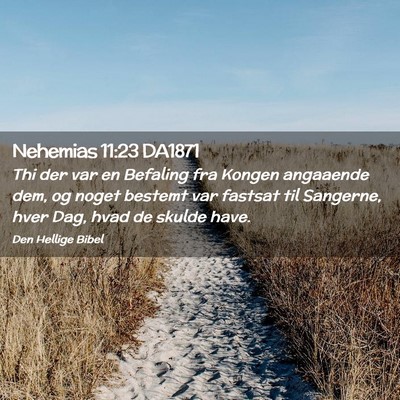 Picture 02 - Nehemias 11:23 DA1871 - Thi der var en Befaling fra Kongen angaaende dem, - Bible Verse Picture