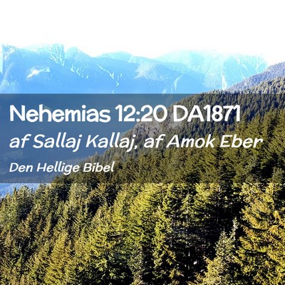 Picture 02 - Nehemias 12:20 DA1871 - af Sallaj Kallaj, af Amok - Bible Verse Picture