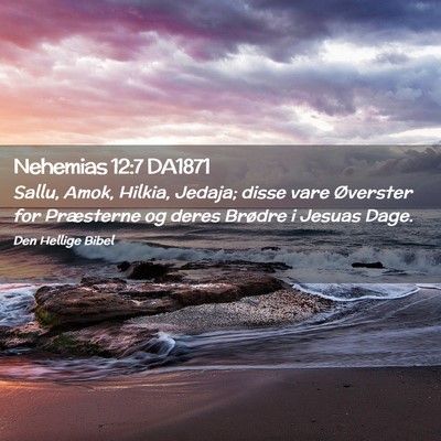 Picture 02 - Nehemias 12:7 DA1871 - Sallu, Amok, Hilkia, Jedaja; disse vare Øverster - Bible Verse Picture