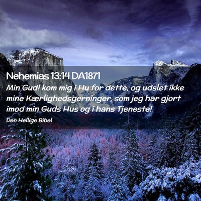 Picture 02 - Nehemias 13:14 DA1871 - Min Gud! kom mig i Hu for dette, og udslet ikke - Bible Verse Picture