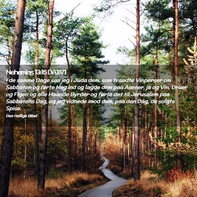 Picture 02 - Nehemias 13:15 DA1871 - I de samme Dage saa jeg i Juda dem, som traadte - Bible Verse Picture