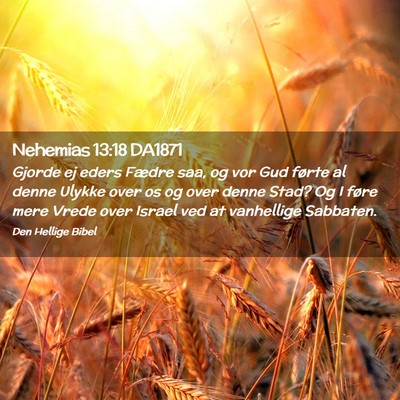 Picture 02 - Nehemias 13:18 DA1871 - Gjorde ej eders Fædre saa, og vor Gud førte al - Bible Verse Picture
