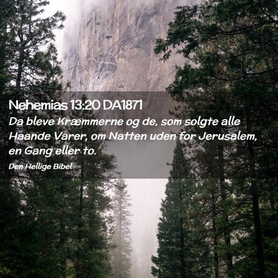 Picture 02 - Nehemias 13:20 DA1871 - Da bleve Kræmmerne og de, som solgte alle Haande - Bible Verse Picture