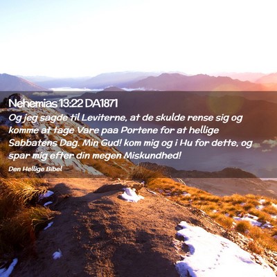 Picture 02 - Nehemias 13:22 DA1871 - Og jeg sagde til Leviterne, at de skulde rense - Bible Verse Picture