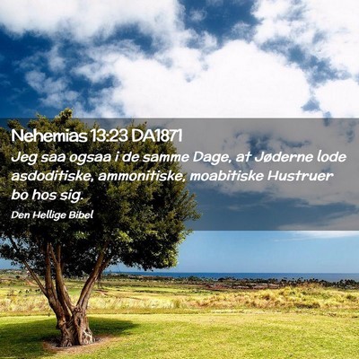 Picture 02 - Nehemias 13:23 DA1871 - Jeg saa ogsaa i de samme Dage, at Jøderne lode - Bible Verse Picture