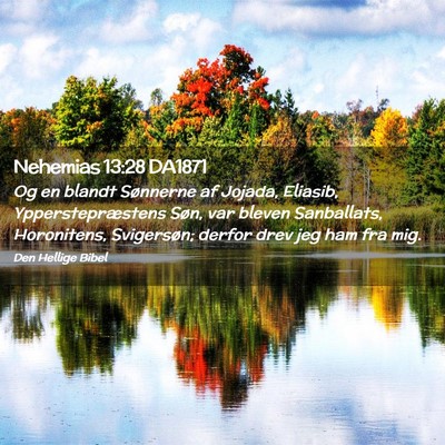 Picture 02 - Nehemias 13:28 DA1871 - Og en blandt Sønnerne af Jojada, Eliasib, - Bible Verse Picture