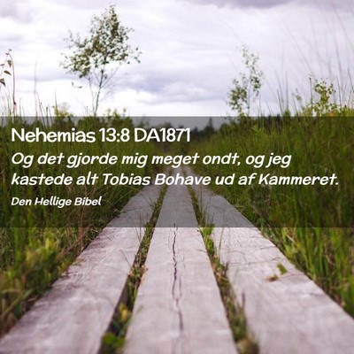 Picture 02 - Nehemias 13:8 DA1871 - Og det gjorde mig meget ondt, og jeg kastede alt - Bible Verse Picture