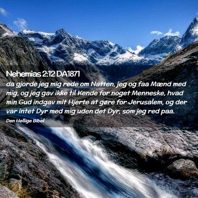 Picture 02 - Nehemias 2:12 DA1871 - da gjorde jeg mig rede om Natten, jeg og faa - Bible Verse Picture