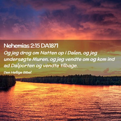 Picture 02 - Nehemias 2:15 DA1871 - Og jeg drog om Natten op i Dalen, og jeg - Bible Verse Picture