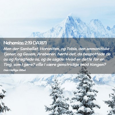 Picture 02 - Nehemias 2:19 DA1871 - Men der Sanballat, Horoniten, og Tobia, den - Bible Verse Picture