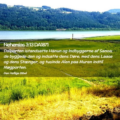 Picture 02 - Nehemias 3:13 DA1871 - Dalporten istandsatte Hanun og Indbyggerne af - Bible Verse Picture