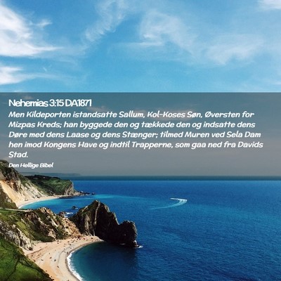 Picture 02 - Nehemias 3:15 DA1871 - Men Kildeporten istandsatte Sallum, Kol-Koses - Bible Verse Picture
