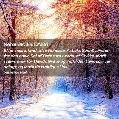 Picture 02 - Nehemias 3:16 DA1871 - Efter ham istandsatte Nehemia, Asbuks Søn, - Bible Verse Picture