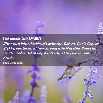 Picture 02 - Nehemias 3:17 DA1871 - Efter ham istandsatte af Leviterne, Rehum, Banis - Bible Verse Picture