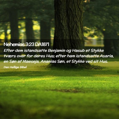 Picture 02 - Nehemias 3:23 DA1871 - Efter dem istandsatte Benjamin og Hasub et Stykke - Bible Verse Picture
