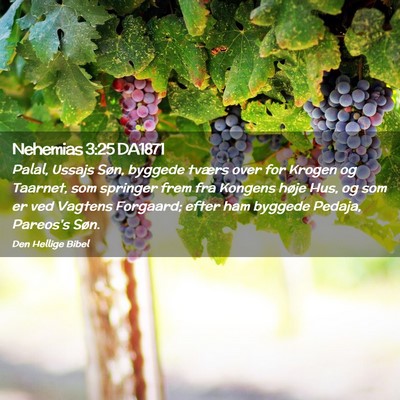 Picture 02 - Nehemias 3:25 DA1871 - Palal, Ussajs Søn, byggede tværs over for - Bible Verse Picture