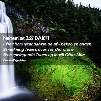 Picture 02 - Nehemias 3:27 DA1871 - Efter ham istandsatte de af Thekoa en anden - Bible Verse Picture