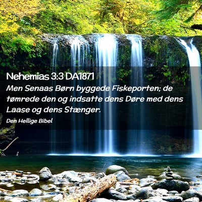 Picture 02 - Nehemias 3:3 DA1871 - Men Senaas Børn byggede Fiskeporten; de tømrede - Bible Verse Picture
