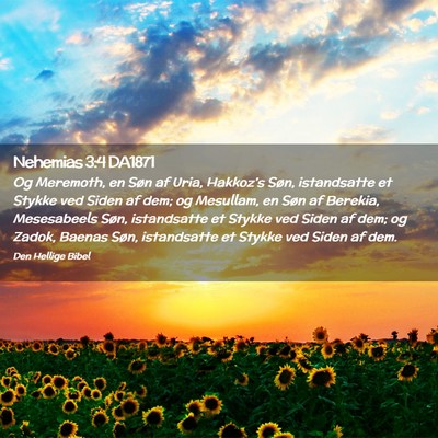 Picture 02 - Nehemias 3:4 DA1871 - Og Meremoth, en Søn af Uria, Hakkoz's Søn, - Bible Verse Picture