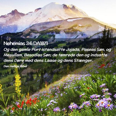 Picture 02 - Nehemias 3:6 DA1871 - Og den gamle Port istandsatte Jojada, Paseas - Bible Verse Picture