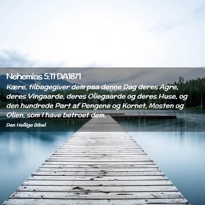 Picture 02 - Nehemias 5:11 DA1871 - Kære, tilbagegiver dem paa denne Dag deres Agre, - Bible Verse Picture