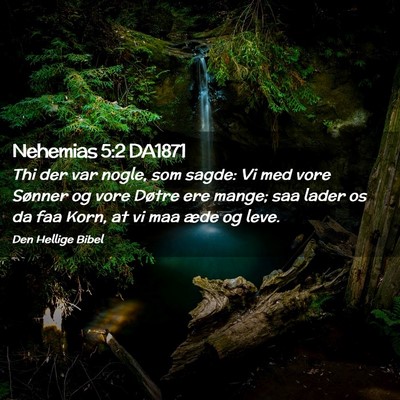 Picture 02 - Nehemias 5:2 DA1871 - Thi der var nogle, som sagde: Vi med vore Sønner - Bible Verse Picture