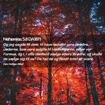 Picture 02 - Nehemias 5:8 DA1871 - Og jeg sagde til dem: Vi have løskøbt vore - Bible Verse Picture