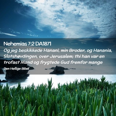 Picture 02 - Nehemias 7:2 DA1871 - Og jeg beskikkede Hanani, min Broder, og Hanania, - Bible Verse Picture
