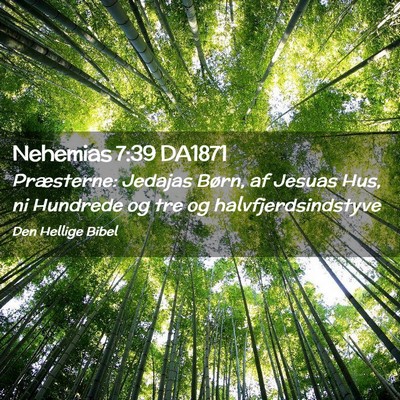 Picture 02 - Nehemias 7:39 DA1871 - Præsterne: Jedajas Børn, af Jesuas Hus, ni - Bible Verse Picture