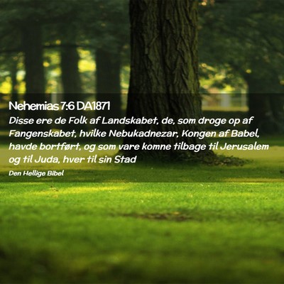 Picture 02 - Nehemias 7:6 DA1871 - Disse ere de Folk af Landskabet, de, som droge op - Bible Verse Picture