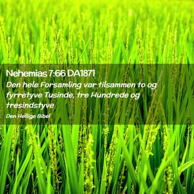 Picture 02 - Nehemias 7:66 DA1871 - Den hele Forsamling var tilsammen to og fyrretyve - Bible Verse Picture
