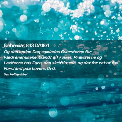 Picture 02 - Nehemias 8:13 DA1871 - Og den anden Dag samledes Øversterne for - Bible Verse Picture