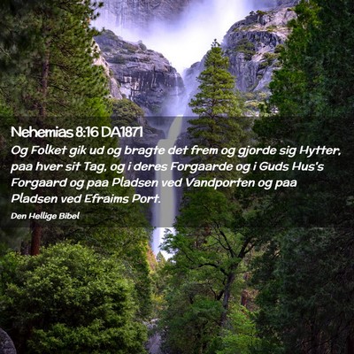 Picture 02 - Nehemias 8:16 DA1871 - Og Folket gik ud og bragte det frem og gjorde sig - Bible Verse Picture